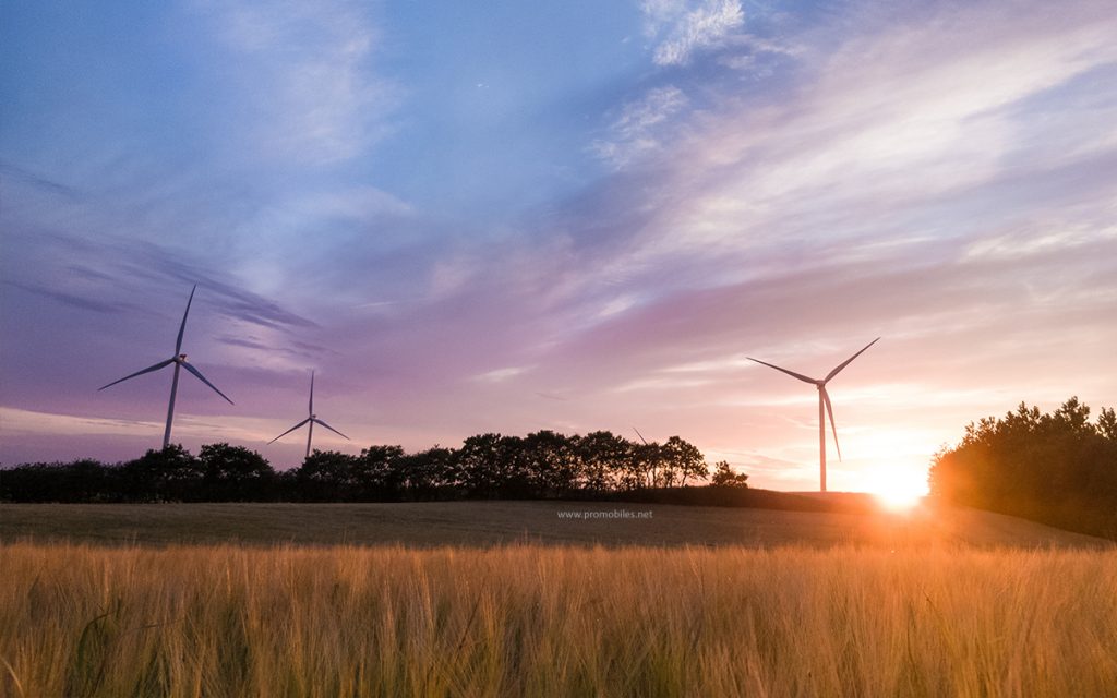 Shot taken with OnePlus 5