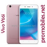 Vivo Y66i - Budget Friendly Smartphone!Â 