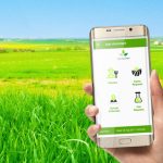 Smart phone apps revolutionizing Myanmar farmers