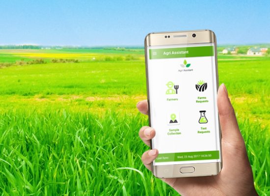 Smart phone apps revolutionizing Myanmar farmers