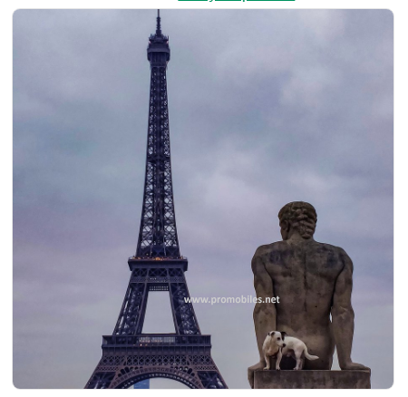 Seize-the-Night-photo-contest