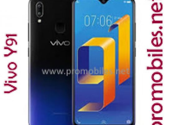 Vivo Y91